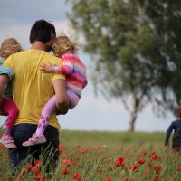 Constelaciones familiares